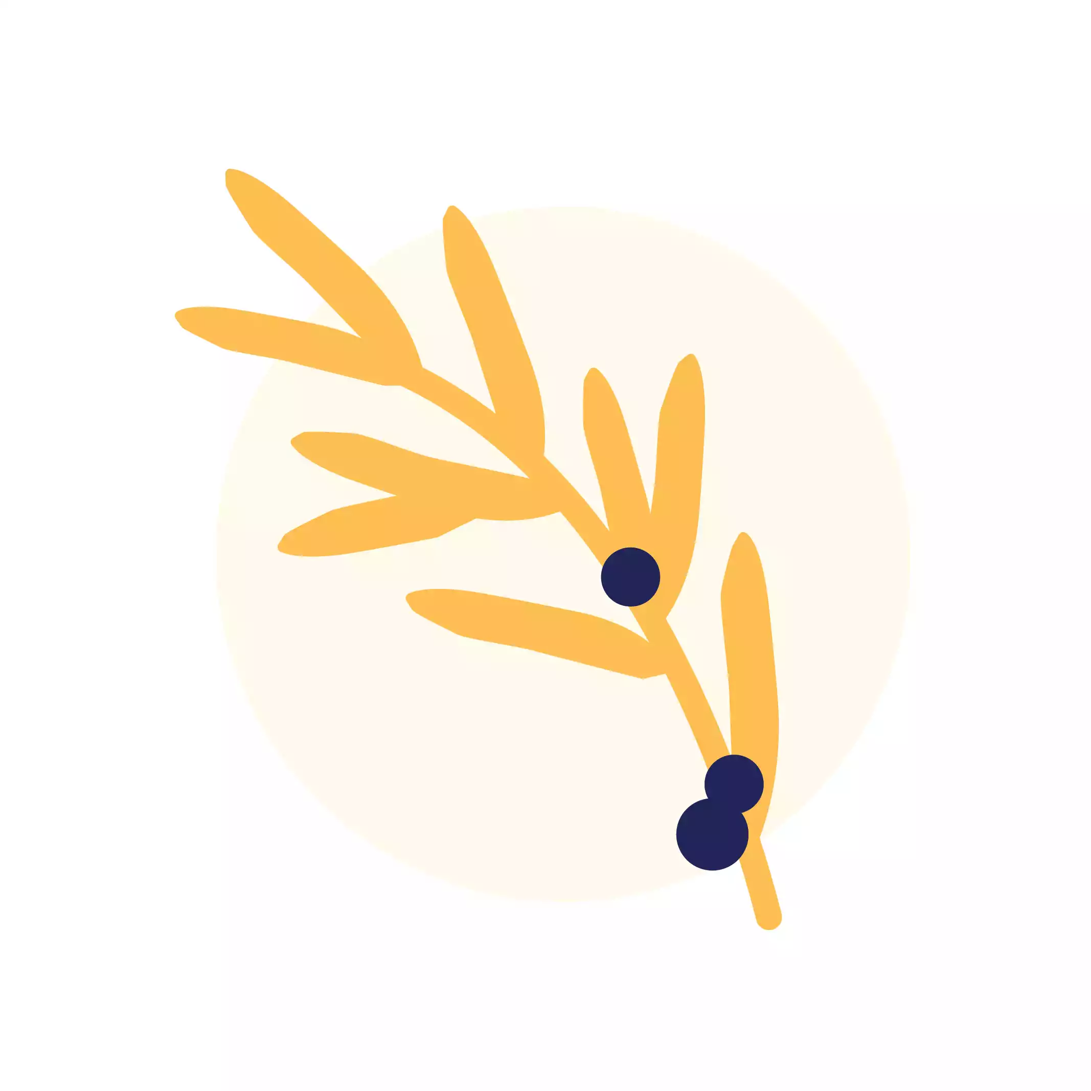 Welstand cover image